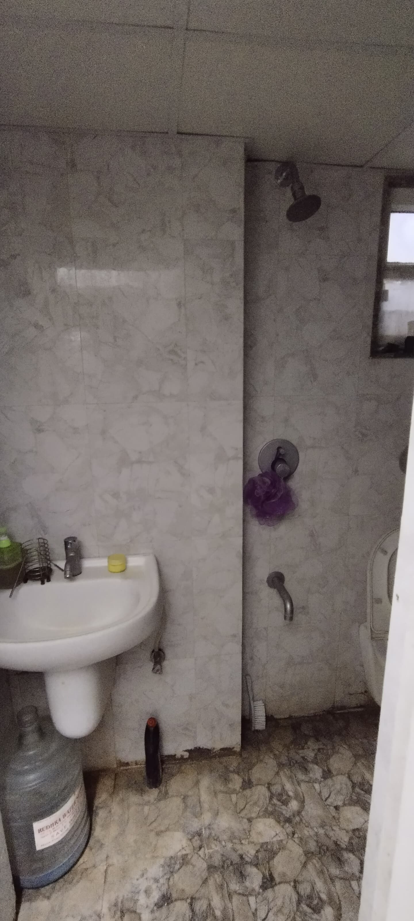 2 BHK 1160 Sq. Ft. Residential Flat / Appartment for Rent in Jagatpur Ahmedabad - Media 6