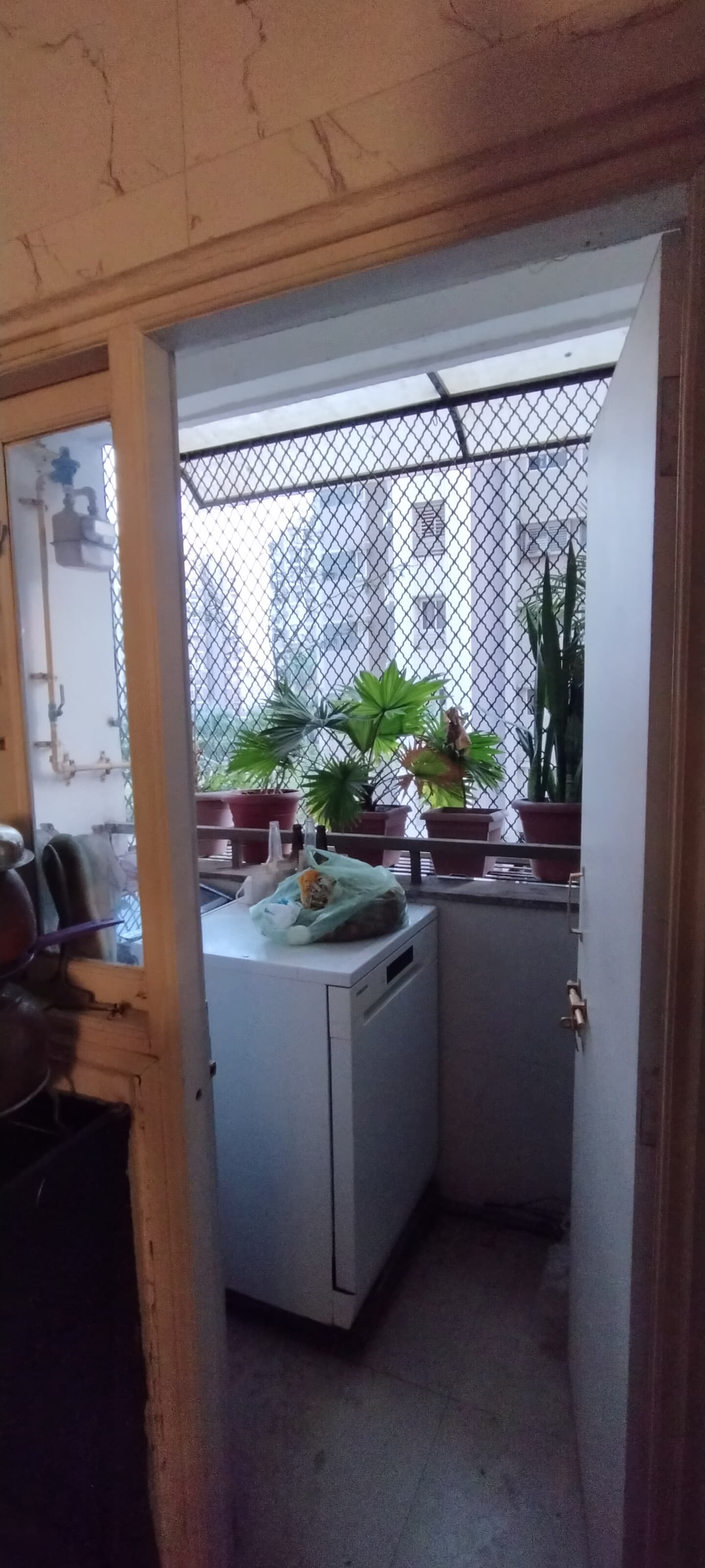 2 BHK 1160 Sq. Ft. Residential Flat / Appartment for Rent in Jagatpur Ahmedabad