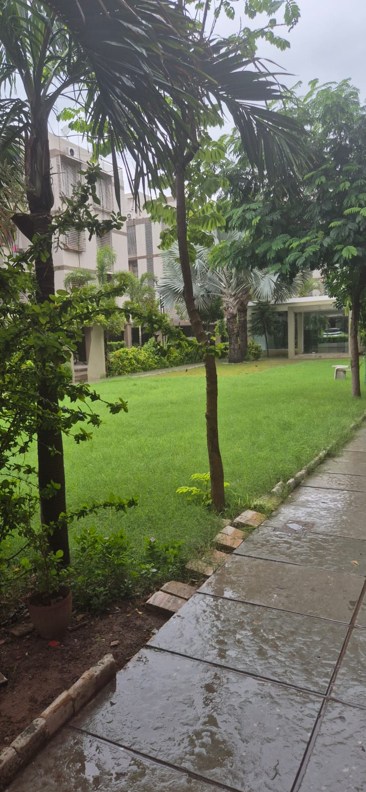 3 BHK 147 Sq. Yrd. Residential Flat / Appartment for Sell in Science City Ahmedabad - Media 9