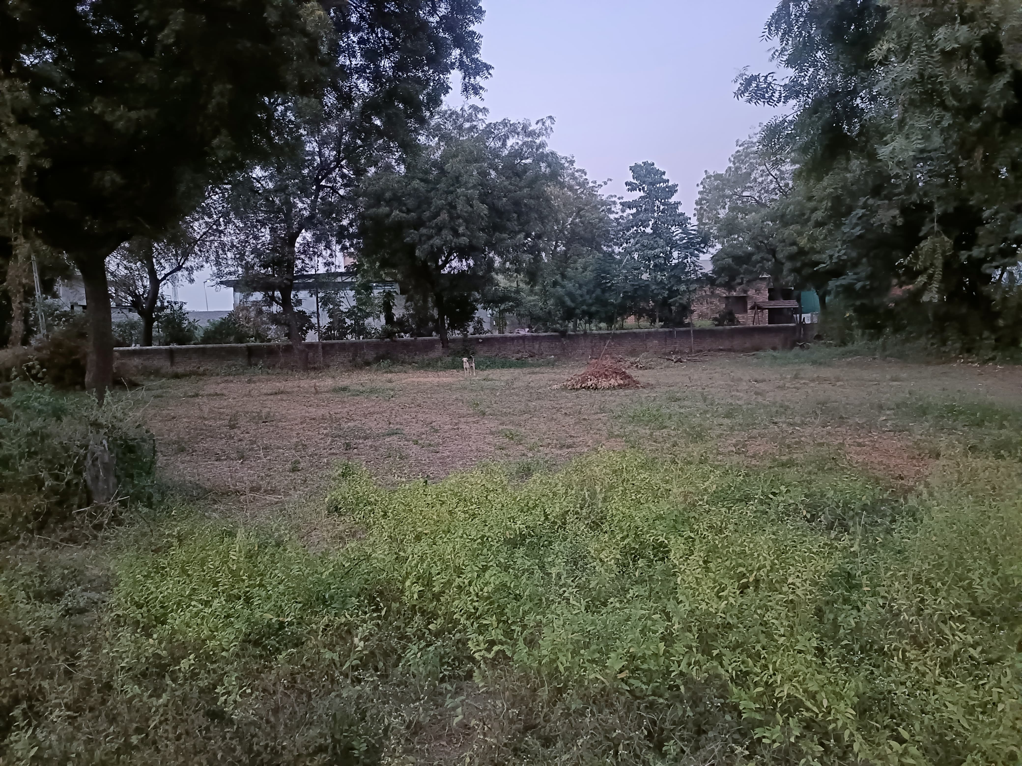 280 Sq. Yrd. Plot Residential Plot for Sell in Vaishnodevi Ahmedabad - Media 3
