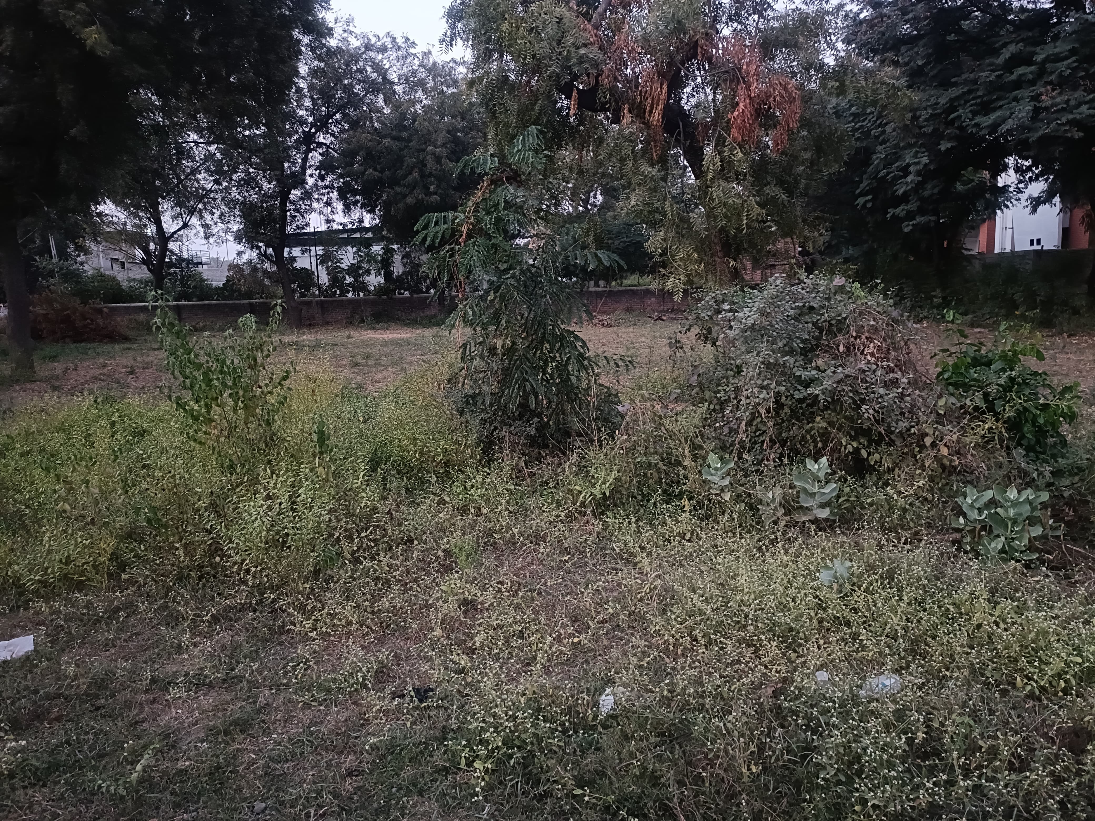 280 Sq. Yrd. Plot Residential Plot for Sell in Vaishnodevi Ahmedabad - Media 4