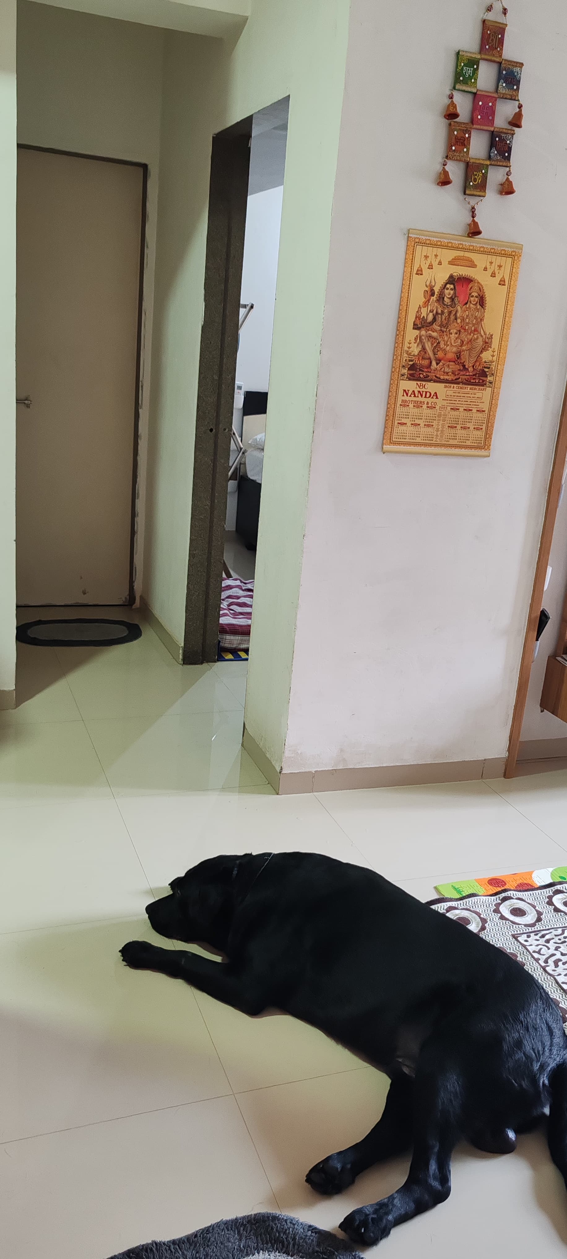 1 BHK 630 Sq. Ft. Residential Flat / Appartment for Sell in Jagatpur Ahmedabad - Media 8