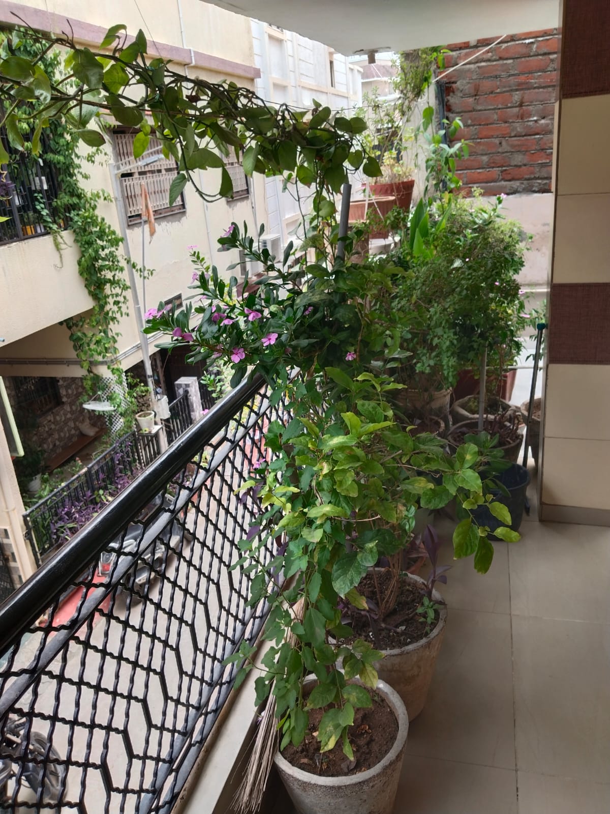 4.5 BHK 172 Sq. Yrd. Residential Bunglow / Villa for Sell in Chankyapuri Ahmedabad - Media 6