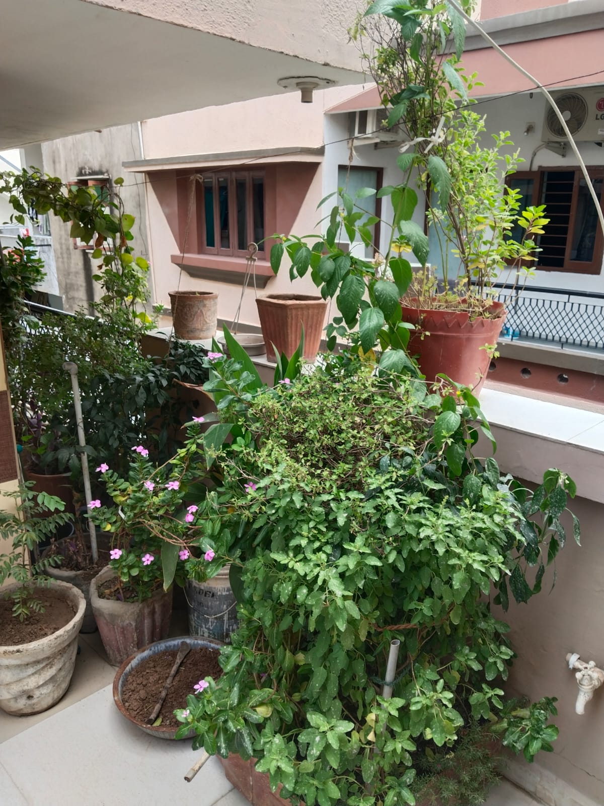 4.5 BHK 172 Sq. Yrd. Residential Bunglow / Villa for Sell in Chankyapuri Ahmedabad - Media 20