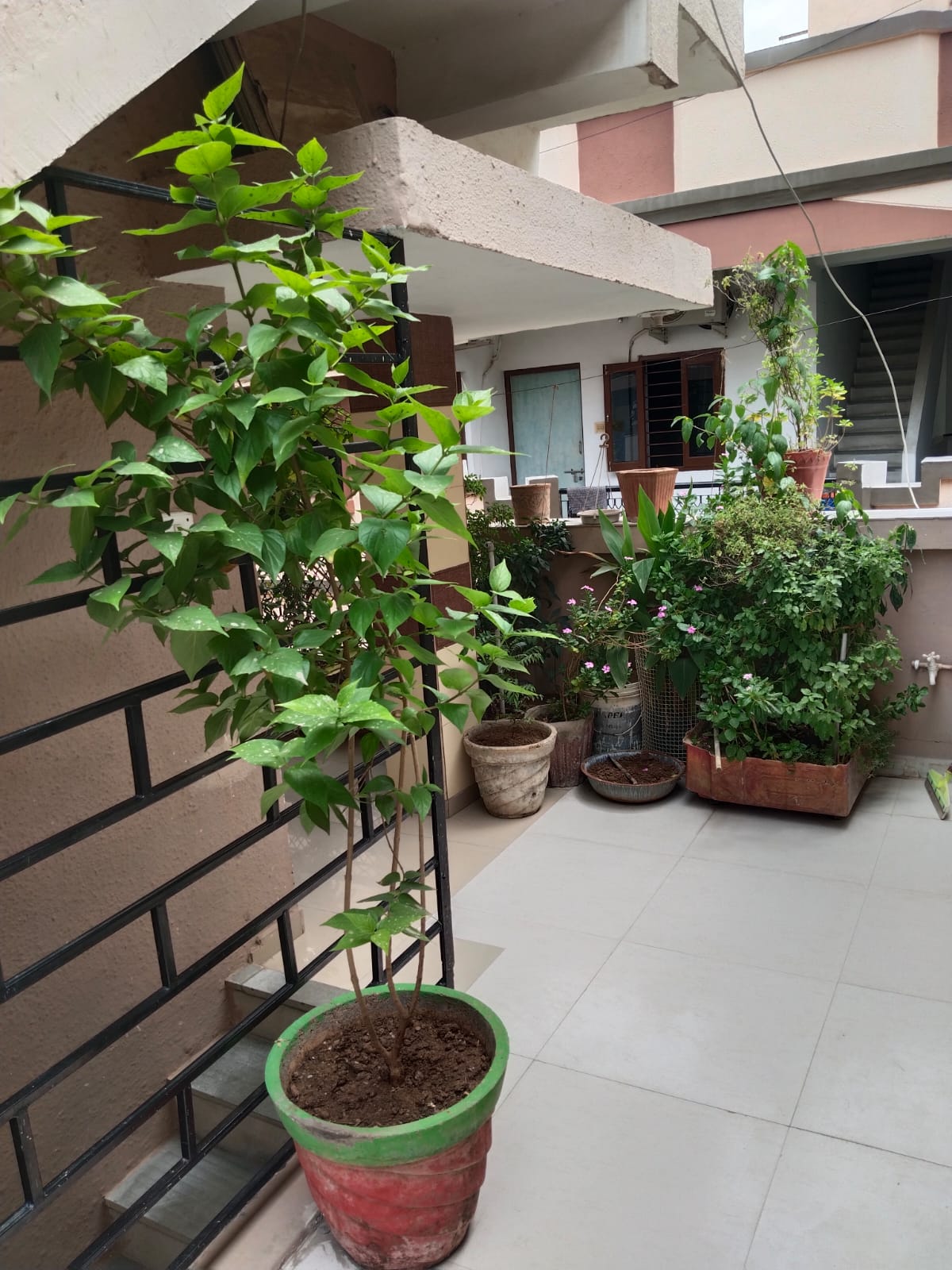 4.5 BHK 172 Sq. Yrd. Residential Bunglow / Villa for Sell in Chankyapuri Ahmedabad - Media 17
