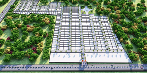 Land / Plot